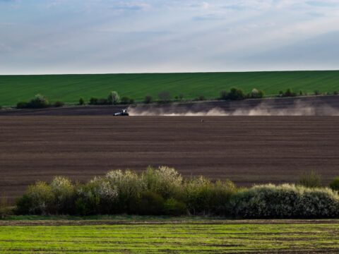 Весняна сівба: аграрії виконали 76% плану