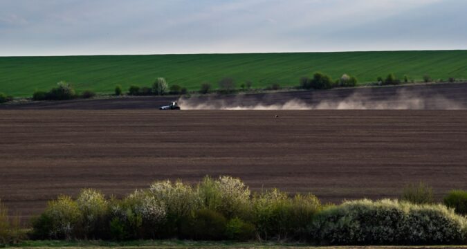 Весняна сівба: аграрії виконали 76% плану