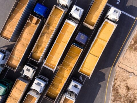 ЄС оприлюднив квоти на агропродукцію з України