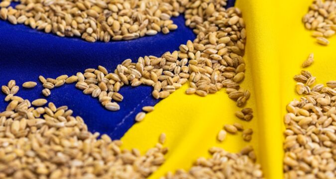 Став відомий найбільший імпортер агропродукції України серед країн ЄС