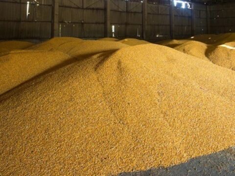 Україна пригрозила санкціями Бангладеш