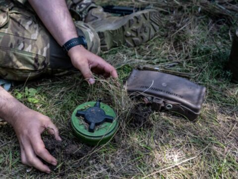 У парламенті Німеччини заговорили про вихід з конвенції щодо заборони протипіхотних мін