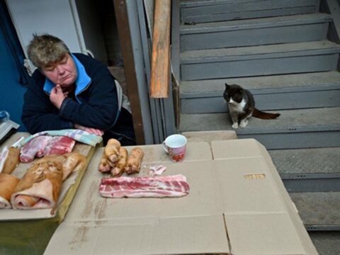 Ціни на м'ясо сягнули історичного максимуму - ООН