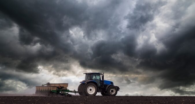 Українські аграрії засіяли 74% озимих культур