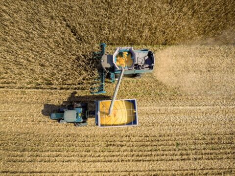 В Україні обмолочено 73% зернових площ