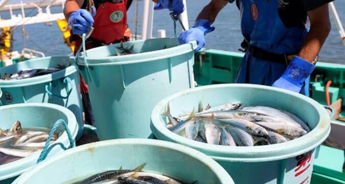 Скандал через Тайвань: Китай заборонив японські морепродукти