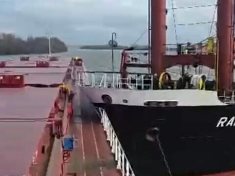 На Дунаї балкер протаранив суховантаж з українською пшеницею