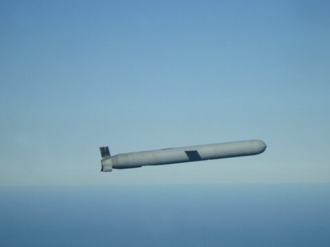 Нідерланди можуть розробити бюджетний аналог ракети Tomahawk