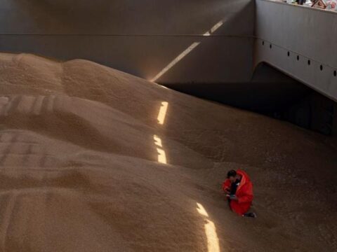 Польща пожалілася в Раду ЄС на агроімпорт з України - ЗМІ