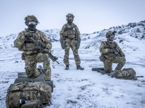 Данія готувала підрив аеродромів у Гренландії у разі вторгнення США