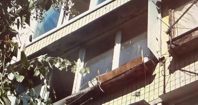 У Києві жінка викинула собаку з четвертого поверху