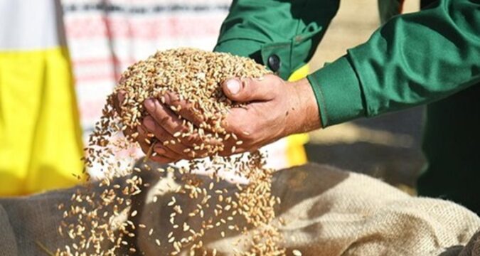 Зернова блокада в Чорному морі: світ може втратити 17% постачання