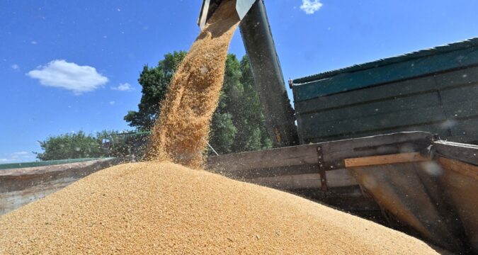 Ціни на пшеницю зростають через загрозу ударів РФ по Україні